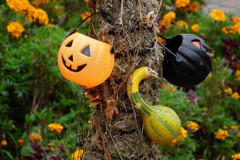 ハロウィン ハロウィン