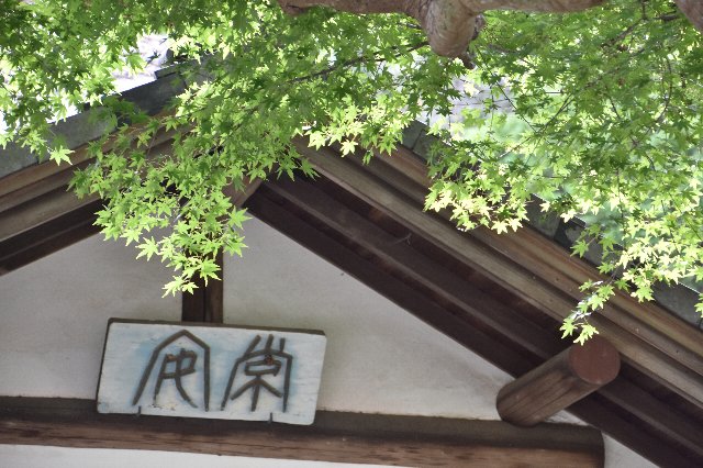 もみじ もみじ