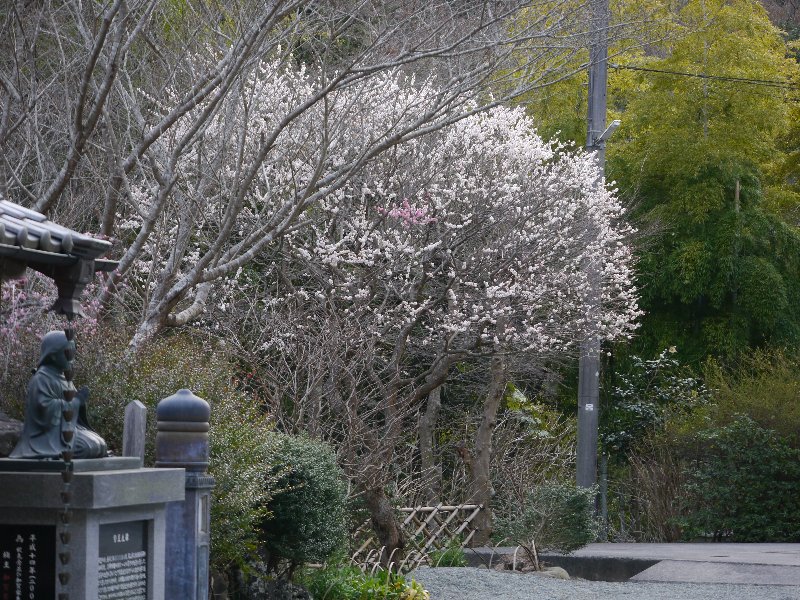 称名寺 称名寺