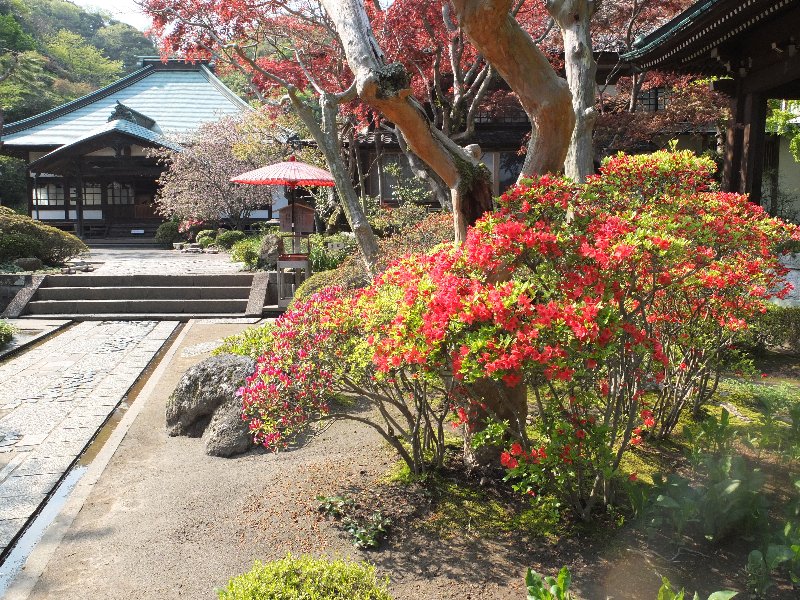 海蔵寺 海蔵寺