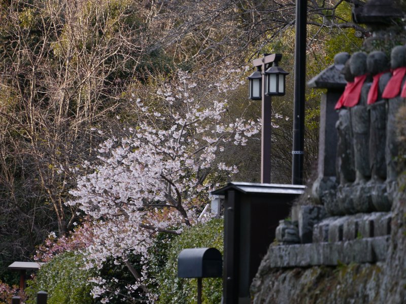 称名寺 称名寺