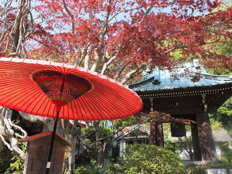 海蔵寺 海蔵寺