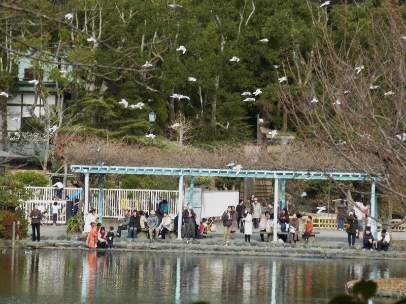 源氏池 源氏池